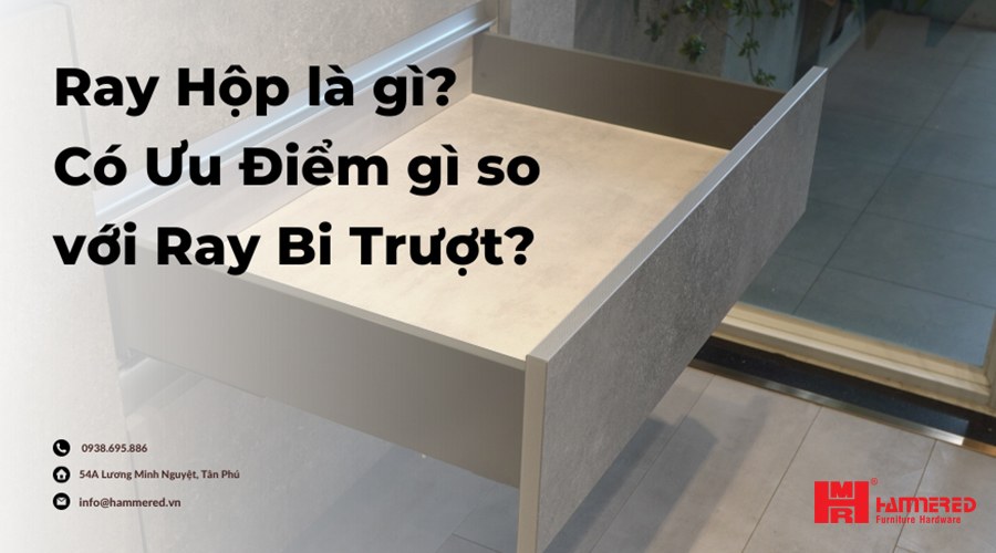 Ray hộp là gì có ưu điểm gì