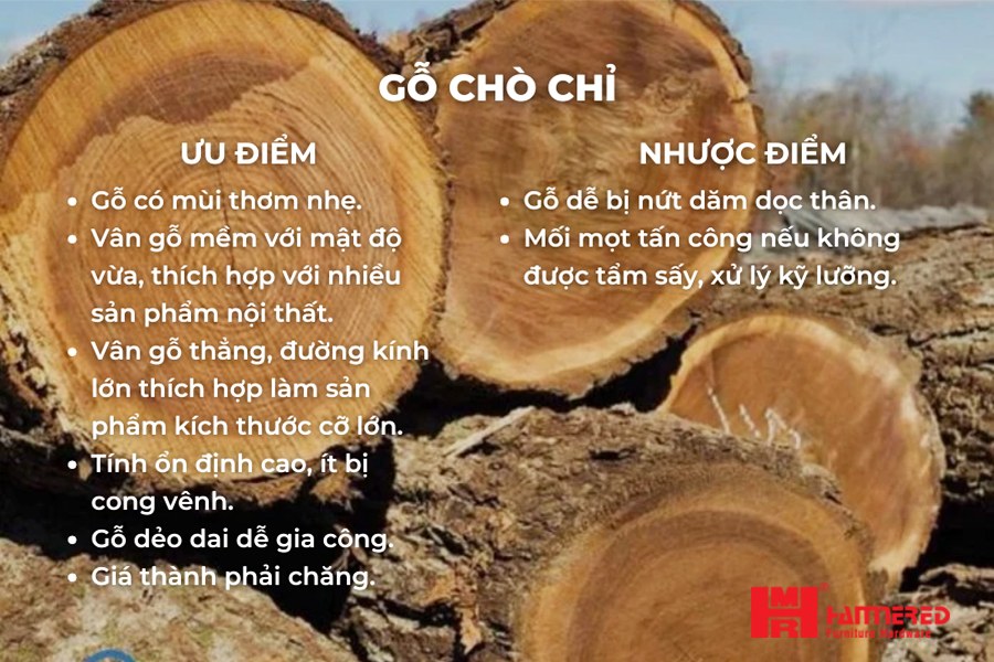 Gỗ chò chỉ ưu điểm và nhược điểm Gỗ Chò Chỉ - Top 15 loại Gỗ tự nhiên