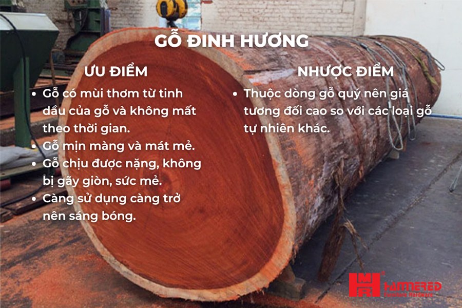Ưu nhược điểm của Gỗ đinh hương Gỗ Đinh Hương - Top 15 loại Gỗ Tự Nhiên