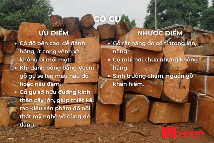 Ưu nhược điểm Gỗ Gụ Gỗ Gụ - Top 15 loại Gỗ tự nhiên