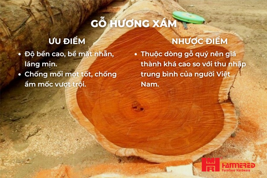 Gỗ Hương Xám Ưu điểm, Nhược Điểm Gỗ Hương Xám - Top 15 loại Gỗ Tự Nhiên