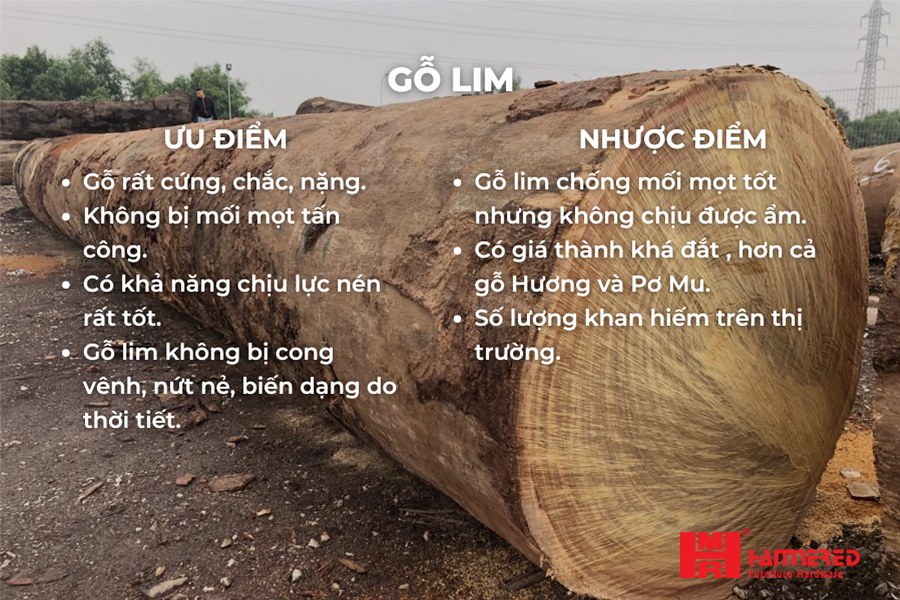 Ưu nhược điểm của Gỗ lim Gỗ Lim - Top 15 loại Gỗ tự nhiên