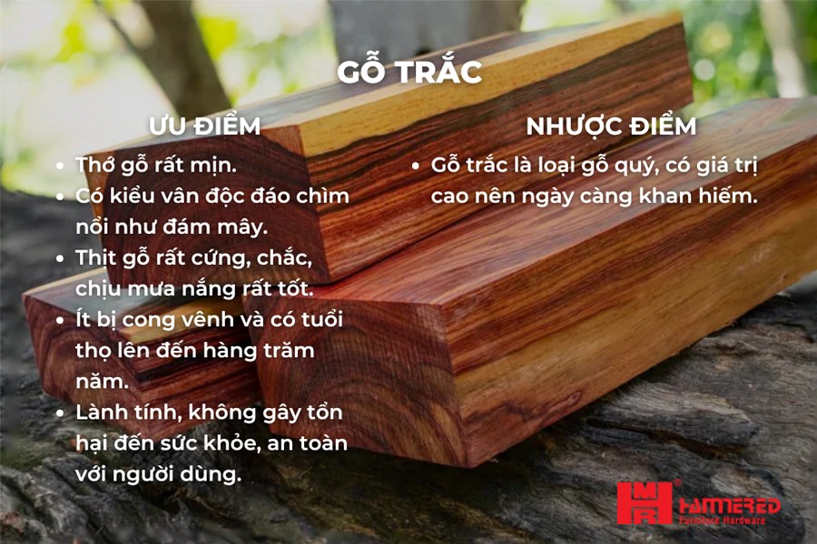 Ưu nhược điểm Gỗ trắc Gỗ Trắc - Top 15 loại Gỗ Tự Nhiên