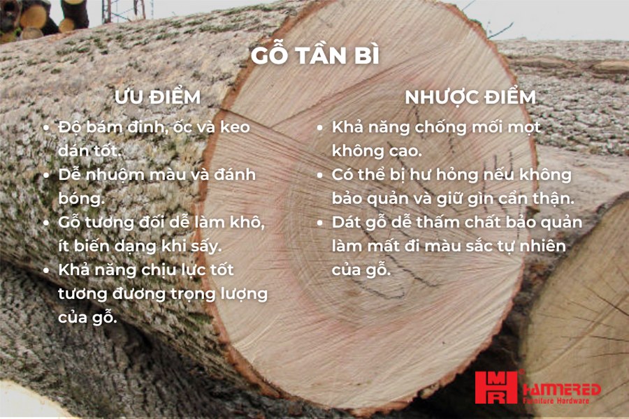 Ưu nhược điểm gỗ tần bì Gỗ Tần Bì - Top 15 loại Gỗ Tự Nhiên