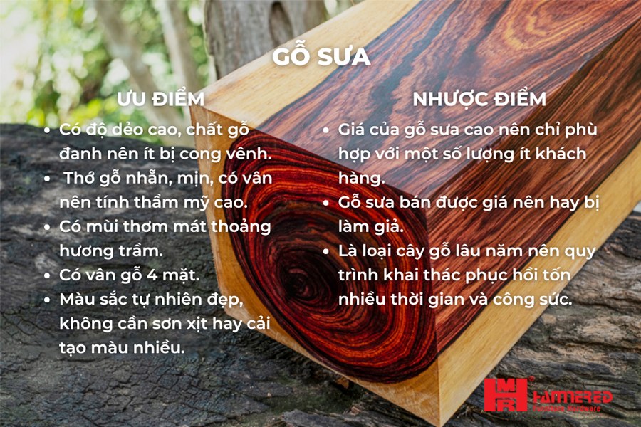 Ưu nhược điểm của Gỗ sưa Gỗ Sưa - Top 15 loại Gỗ Tự Nhiên