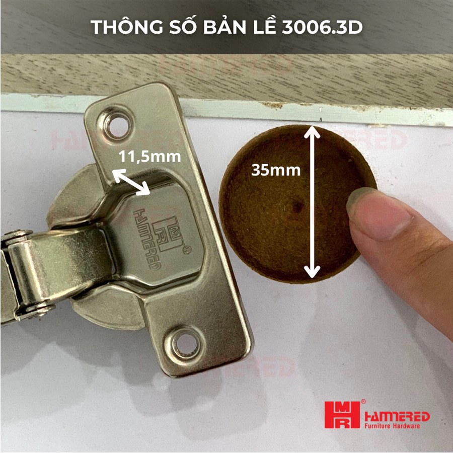 thông số của bản lề 3006.3D