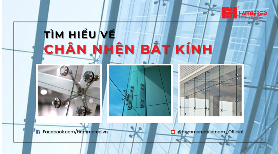 Tìm Hiểu Về Chân Nhện Bắt Kính