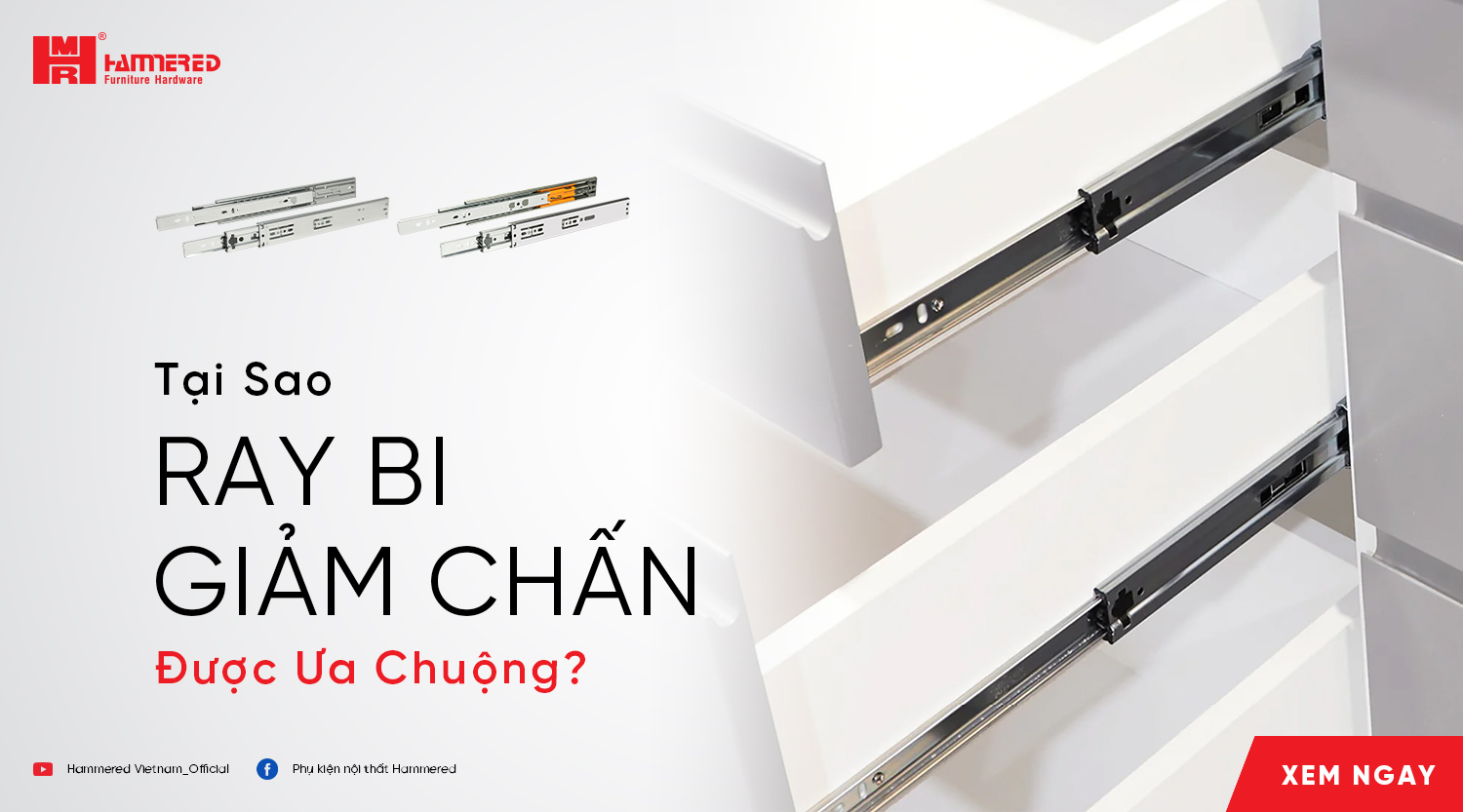 Tại Sao Ray Bi Giảm Chấn Được Ưa Chuộng
